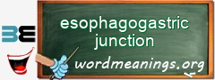 WordMeaning blackboard for esophagogastric junction